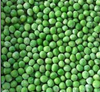 IQF Green peas